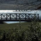 Schloßpark Glienicke - Brücke im Licht