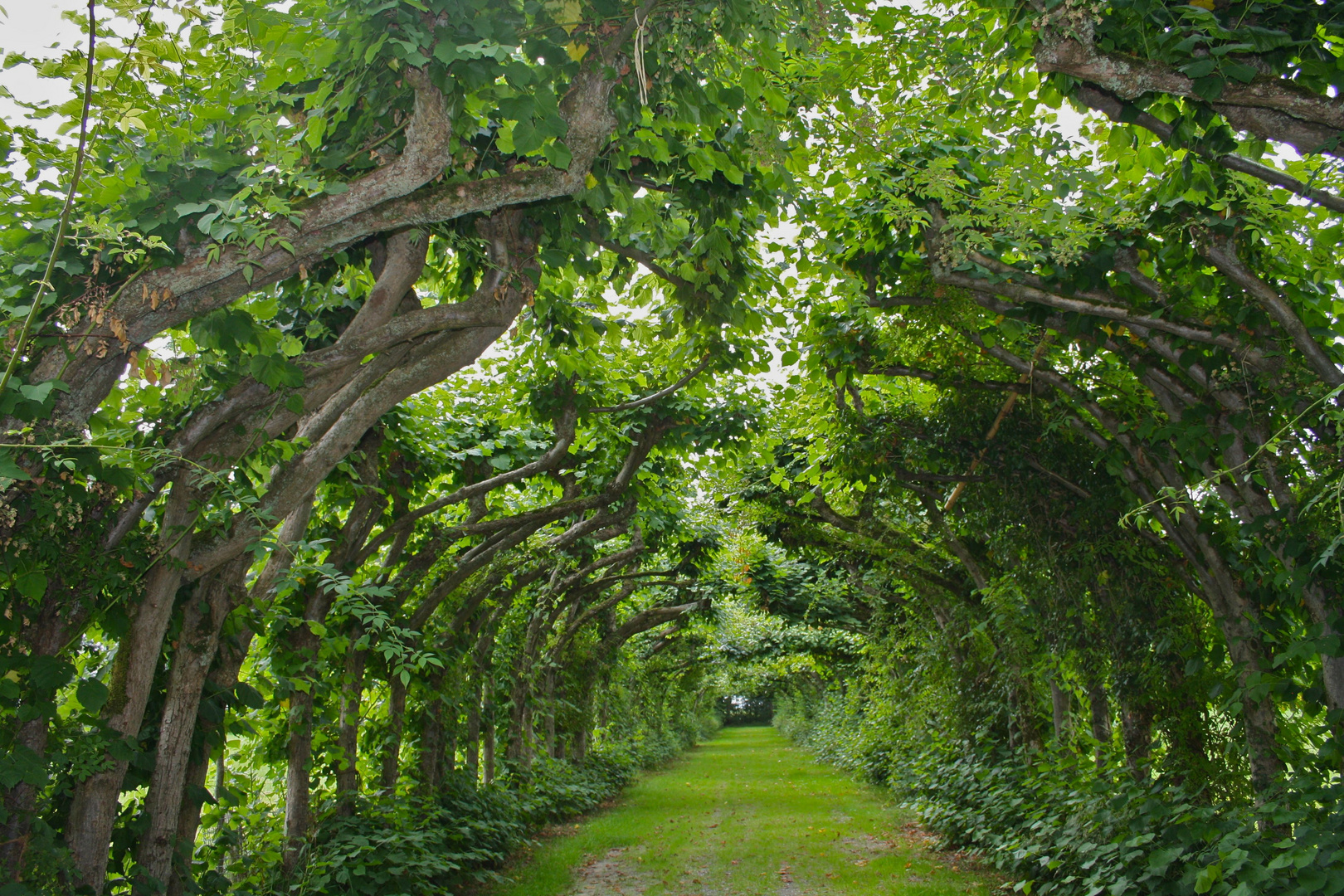 Schlosspark Gödens