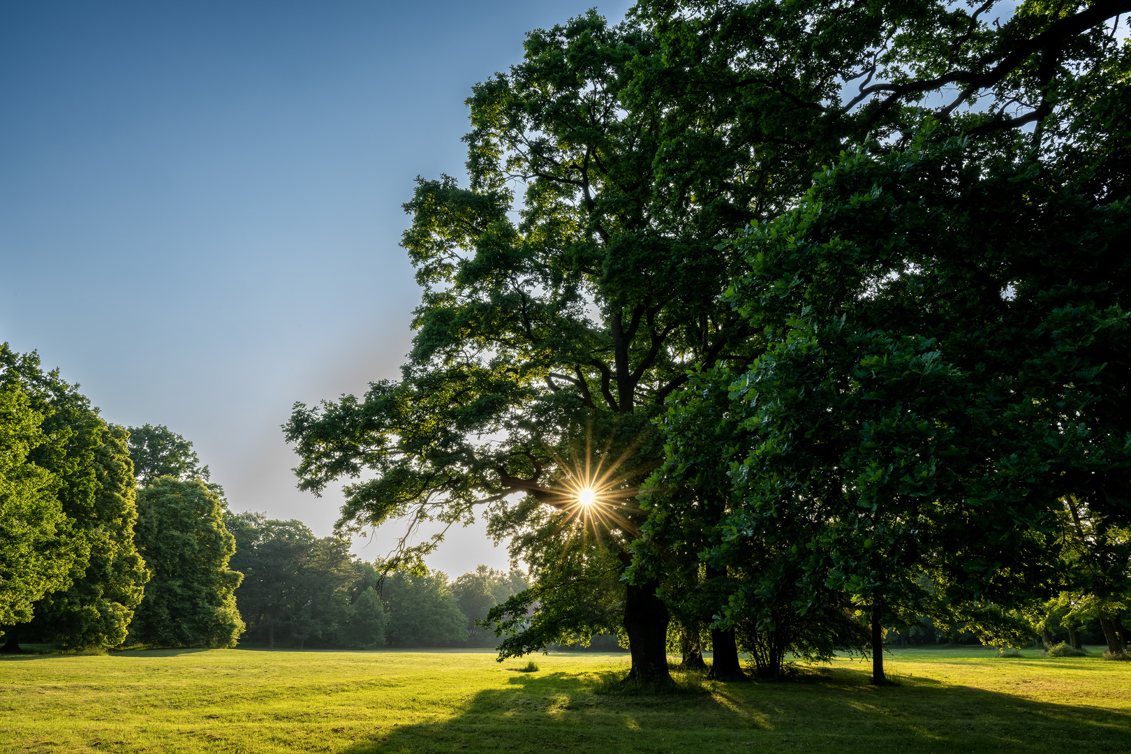 Schlosspark Gotha 02