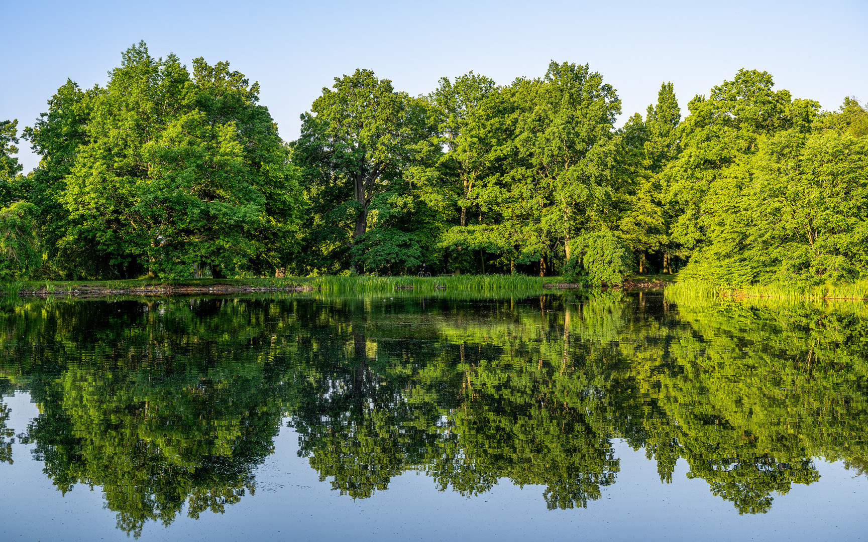 Schlosspark Gotha 08