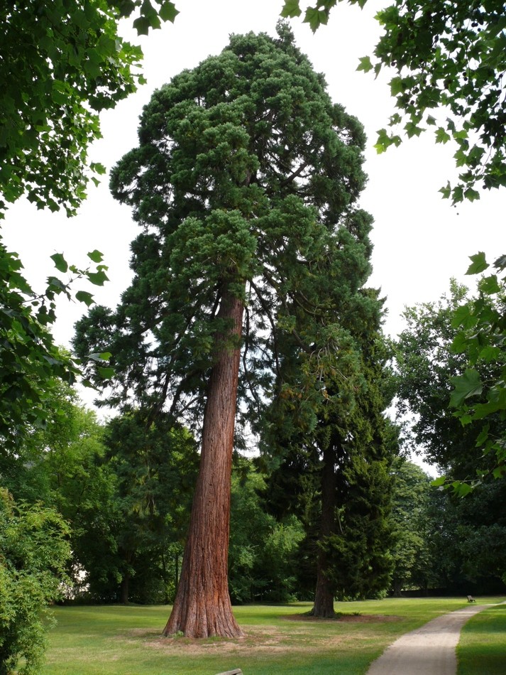 Schloßpark Großen-Buseck