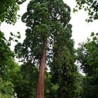 Schloßpark Großen-Buseck