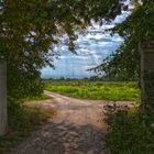 Schlosspark HDR