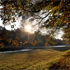 Schlosspark Herbst 2