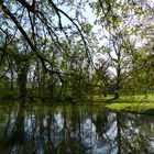 Schlosspark Herrnsheim 