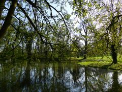 Schlosspark Herrnsheim 