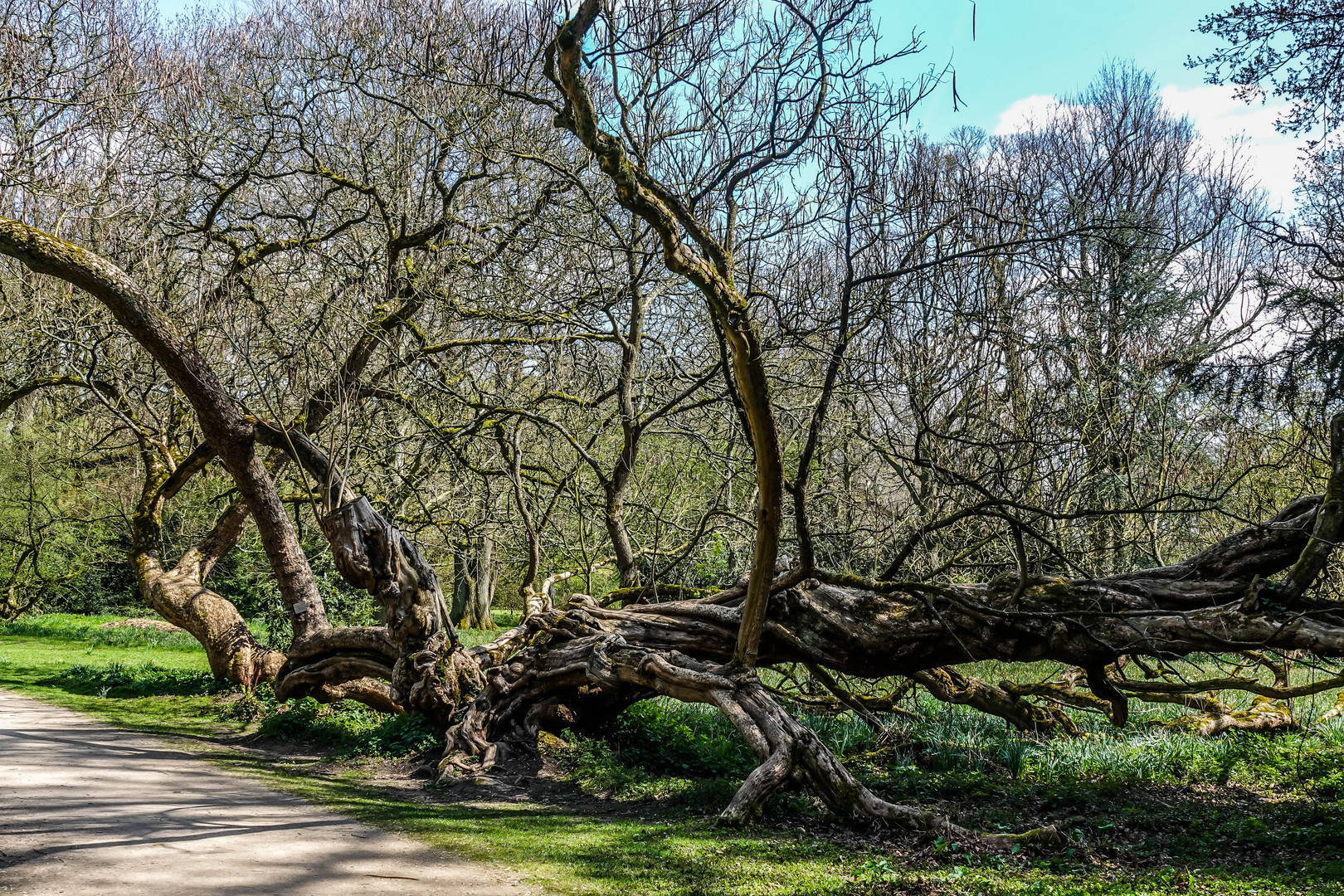 Schlosspark Herten (2)