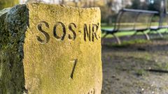 Schlosspark Herten - SOS-Stein