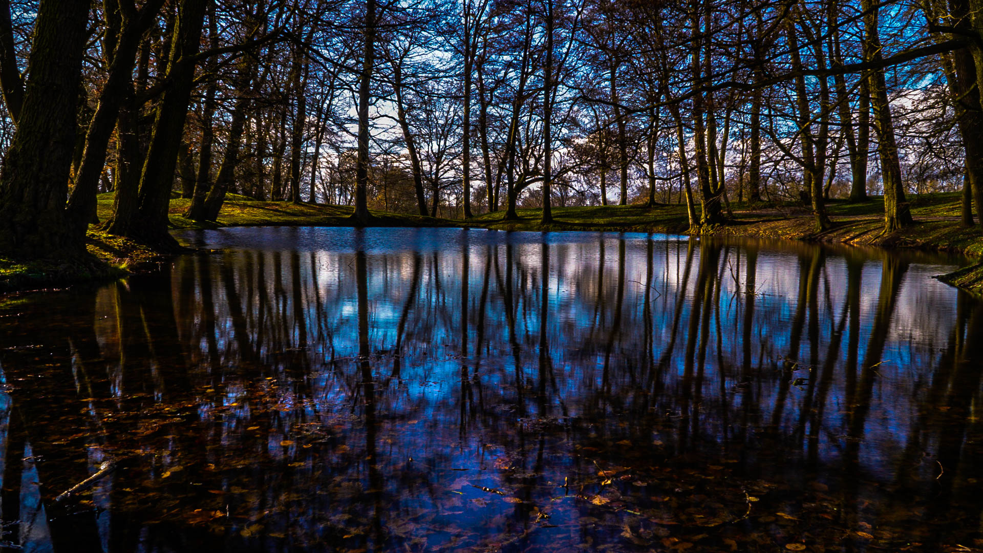 Schlosspark Hohenziertiz