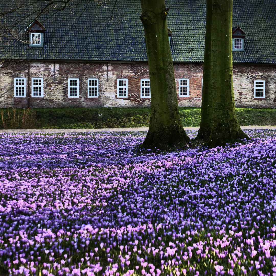 Schlosspark Husum