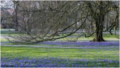 Schlosspark Husum