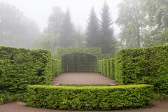 Schlosspark im Frühnebel 2