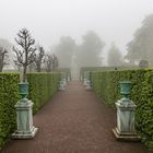 Schlosspark im Frühnebel 3