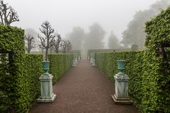 Schlosspark im Frühnebel 3