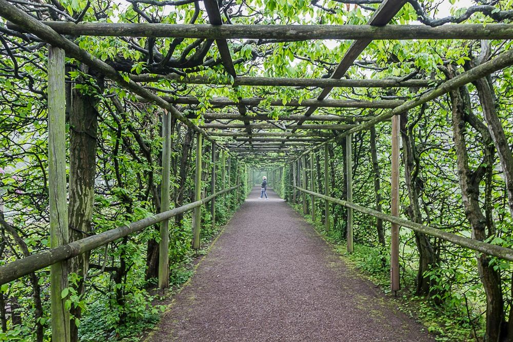 Schlosspark im Frühnebel 4