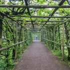 Schlosspark im Frühnebel 4