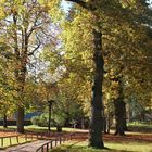 Schlosspark im Herbst