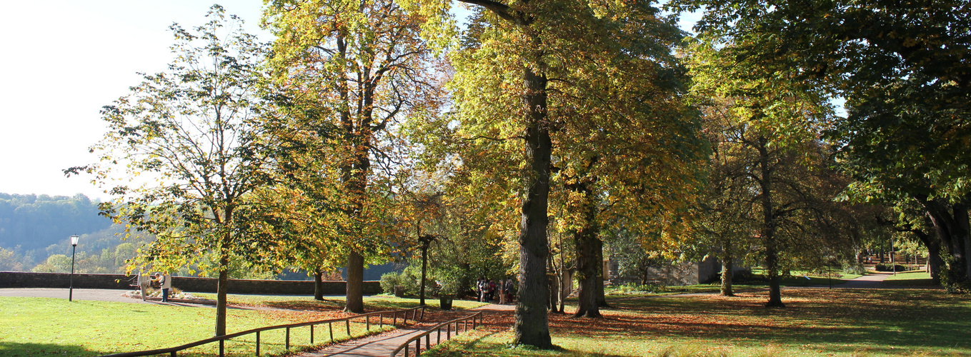 Schlosspark im Herbst