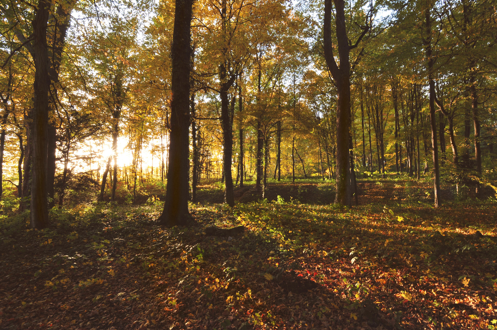 Schlosspark im Herbst