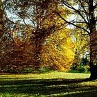 Schlosspark im Herbst