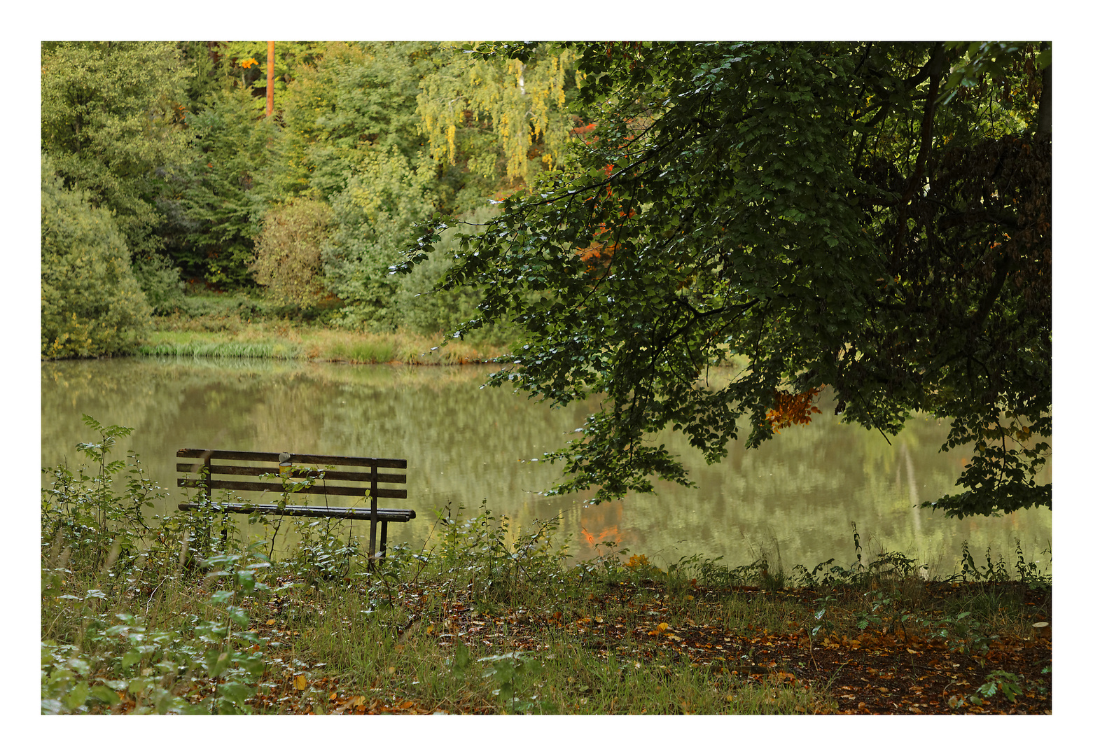 Schlosspark im Herbst