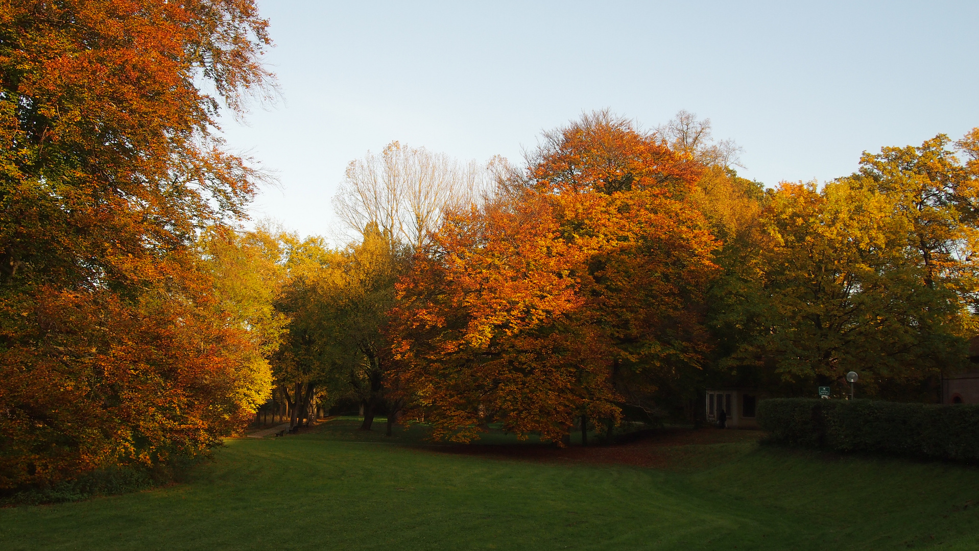 Schlosspark im Herbstlicht