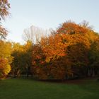 Schlosspark im Herbstlicht