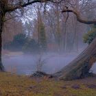 Schlosspark im Nebel