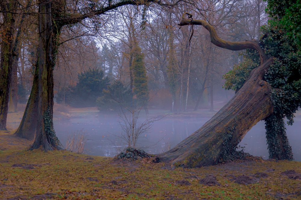 Schlosspark im Nebel