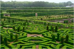 Schlosspark im Regen