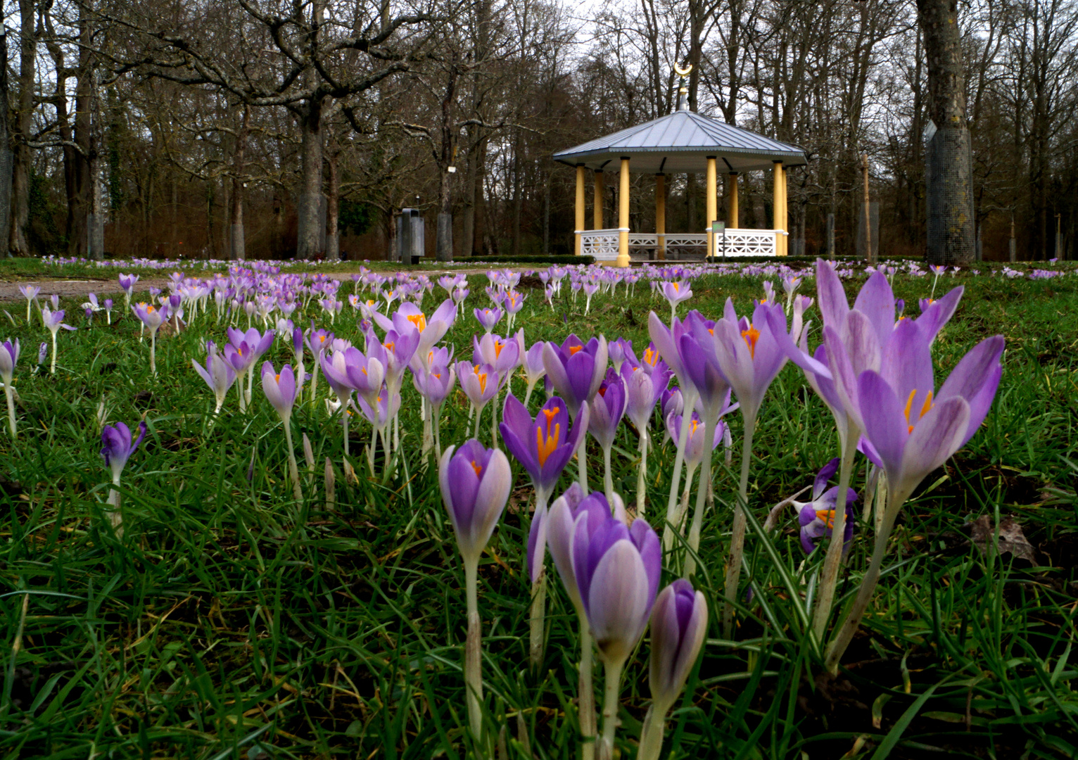 Schlosspark in Bad Mergentheim.