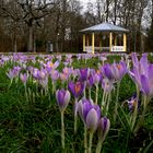 Schlosspark in Bad Mergentheim.