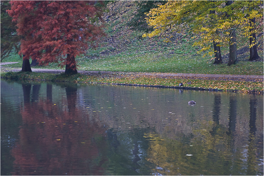 Schlosspark in Celle