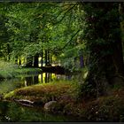 Schlosspark in Cottbus