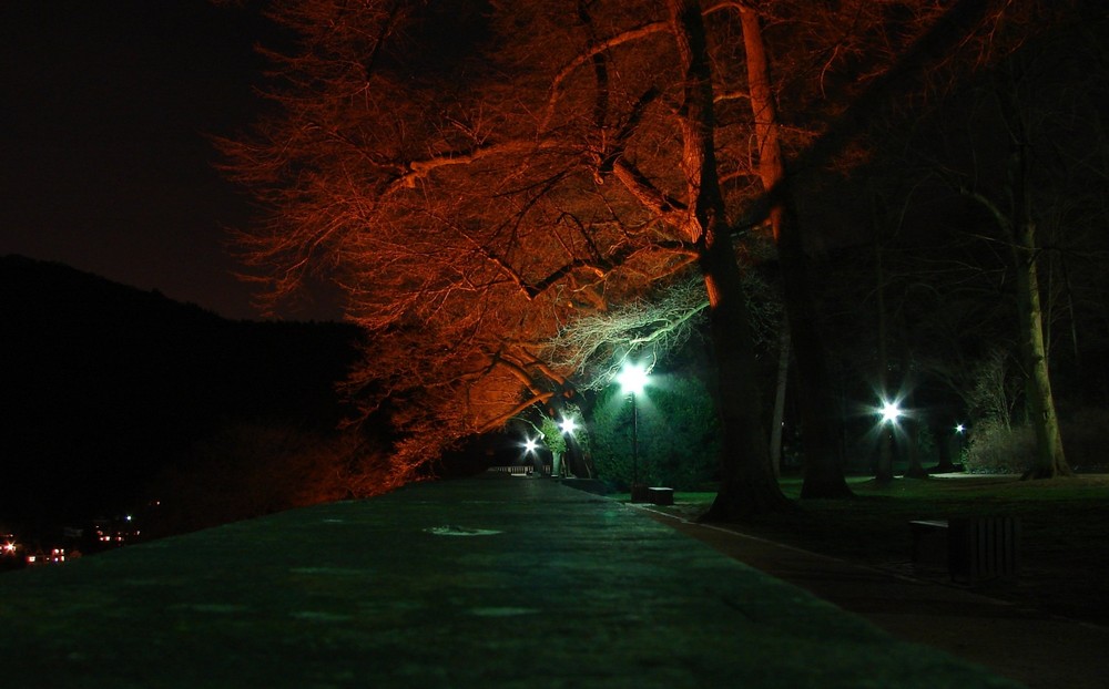 Schlosspark in Heidelberg bei Nacht