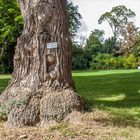 Schlosspark in Kirchheimbolanden