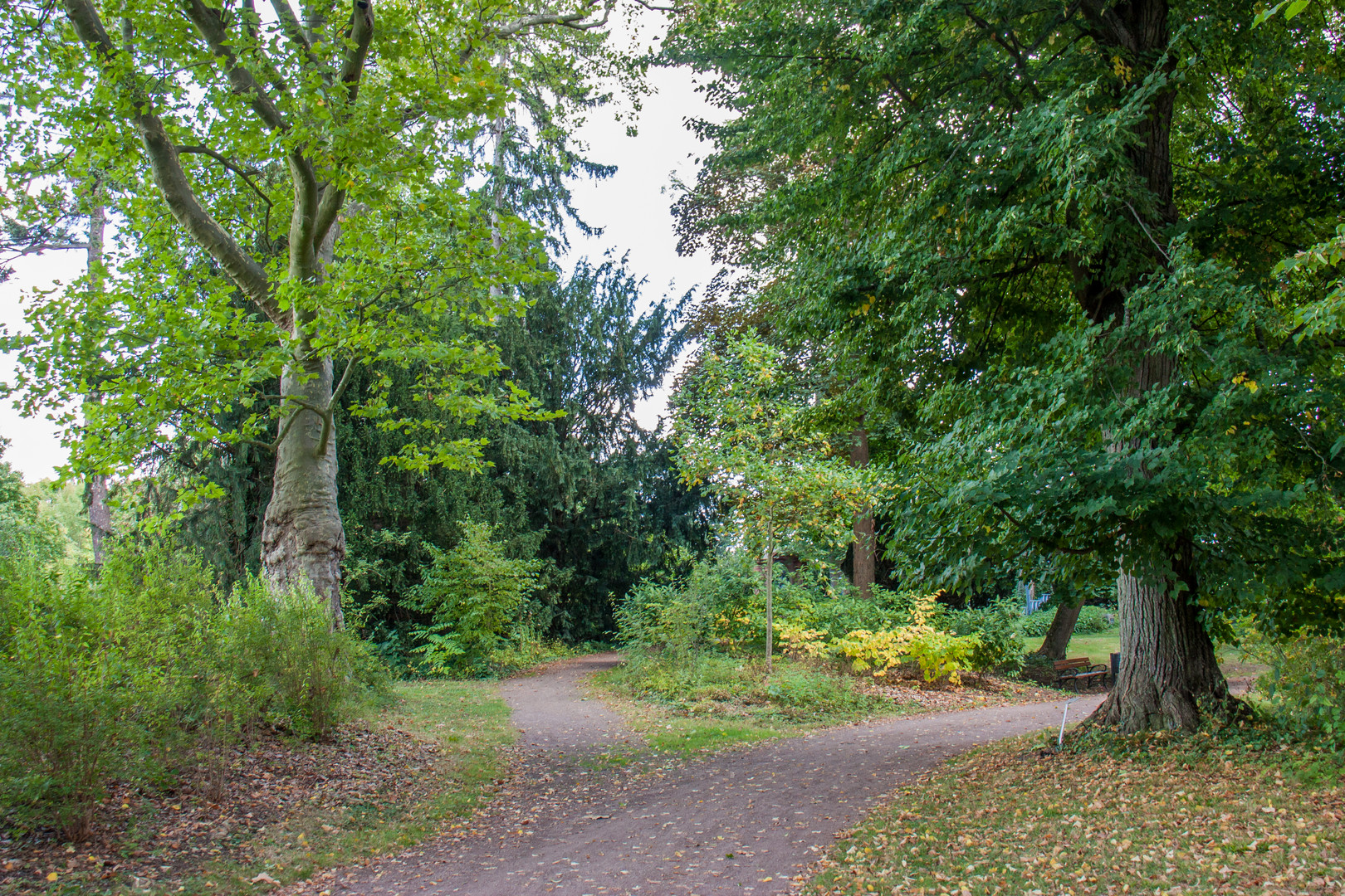 Schlosspark in Kirchheimbolanden