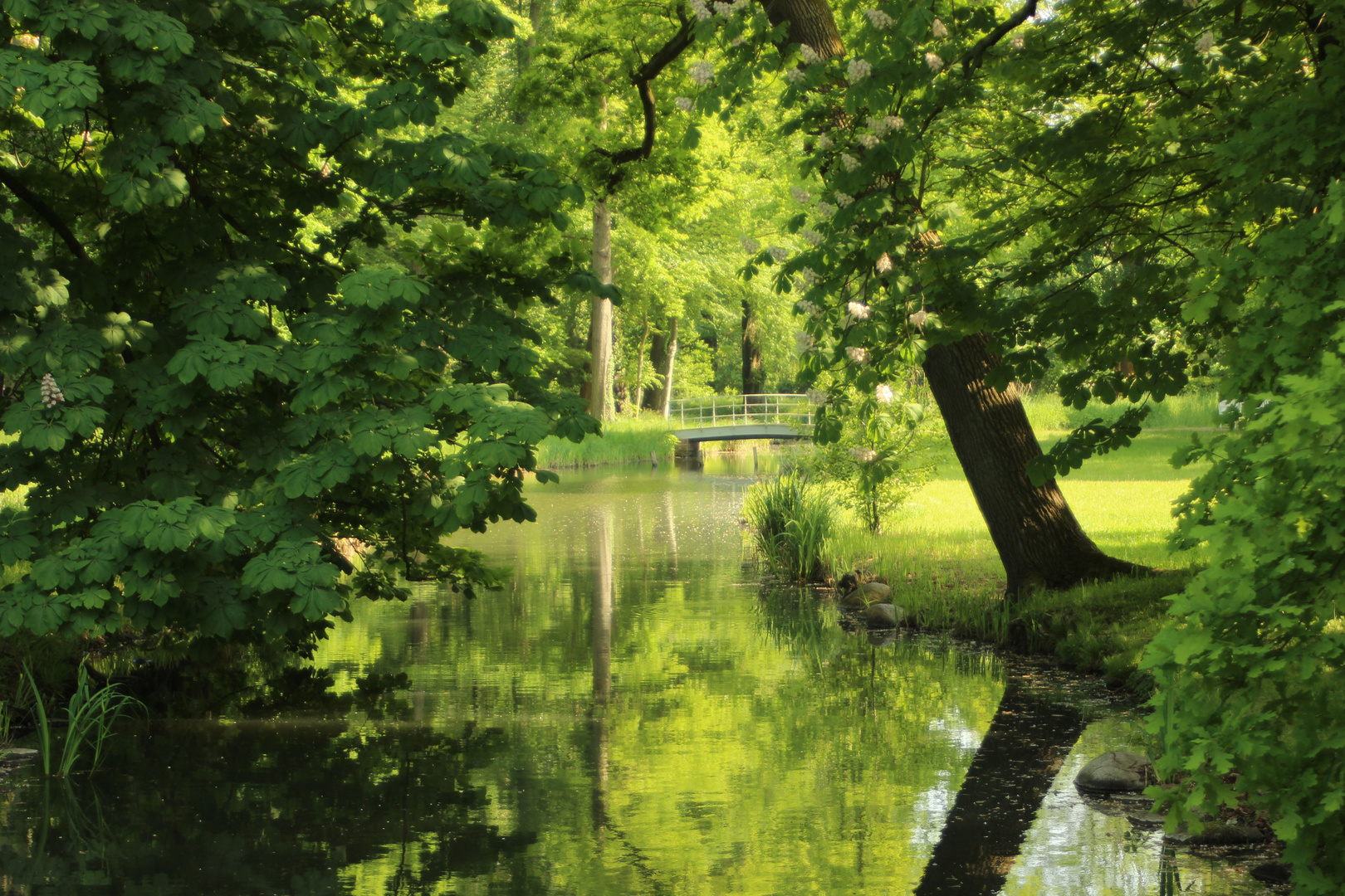 Schlosspark in Lübbenau/Spreewald