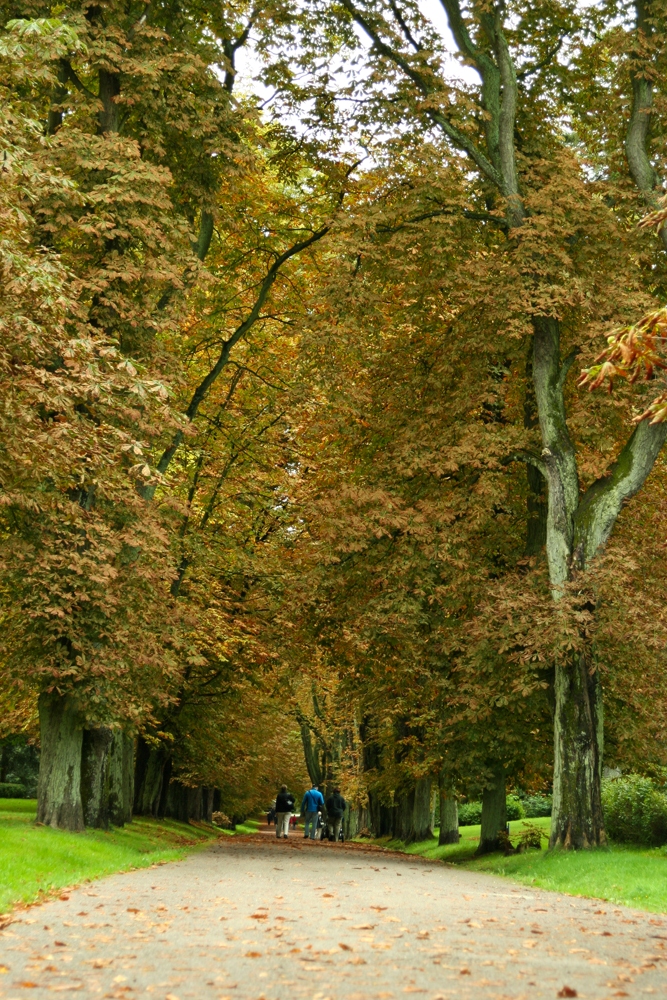 Schloßpark in Putbus auf Rügen