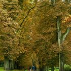 Schloßpark in Putbus auf Rügen