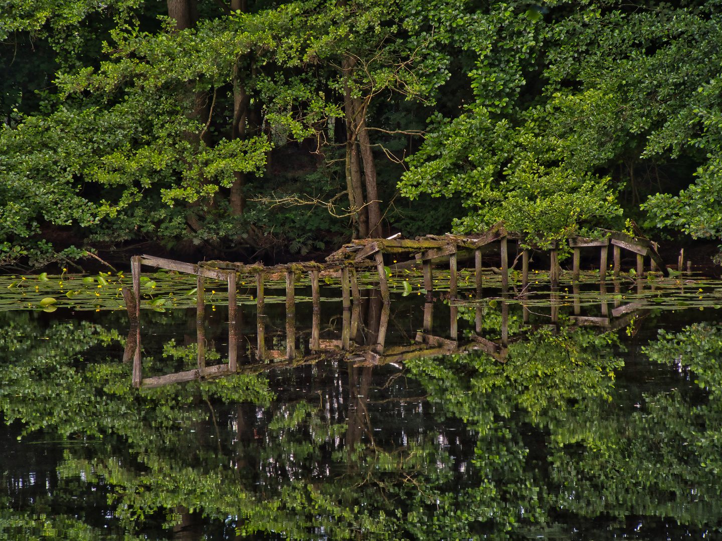 Schloßpark in Rastede