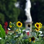 Schlosspark in Rheinsberg