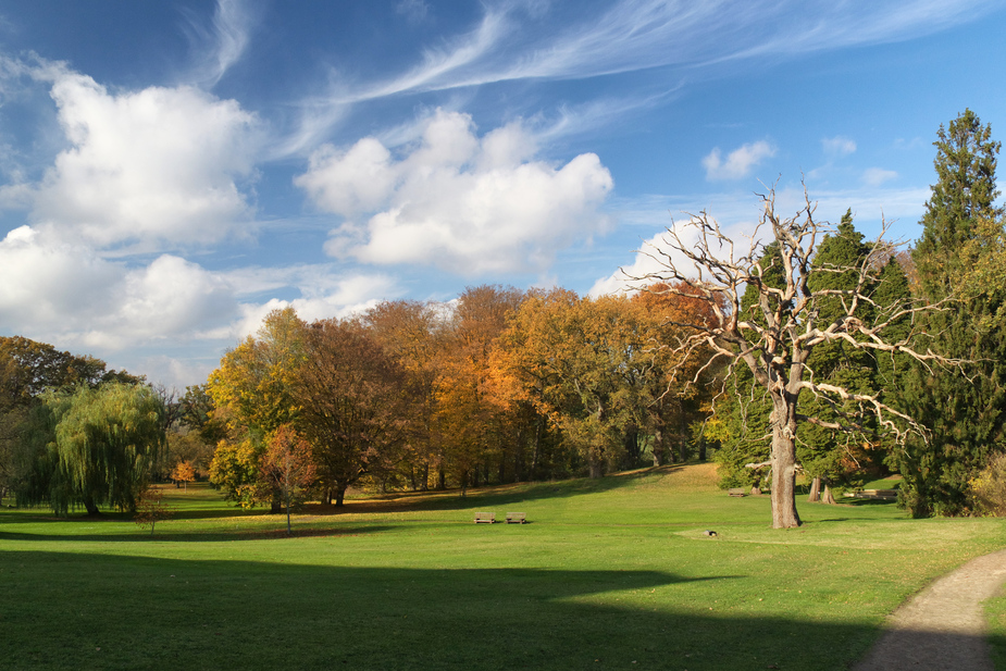 Schlosspark Kaarz