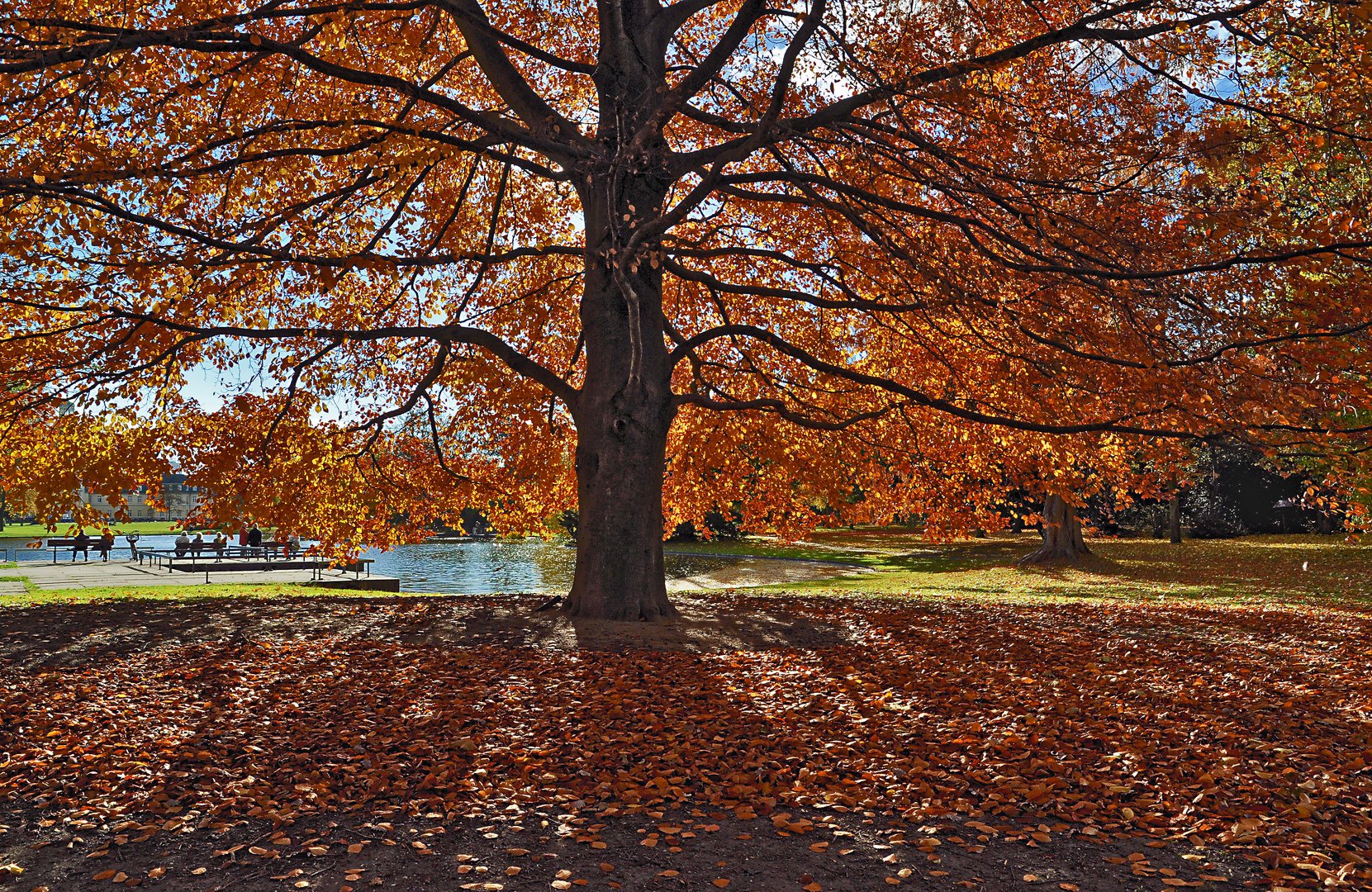 Schloßpark Karlsruhe