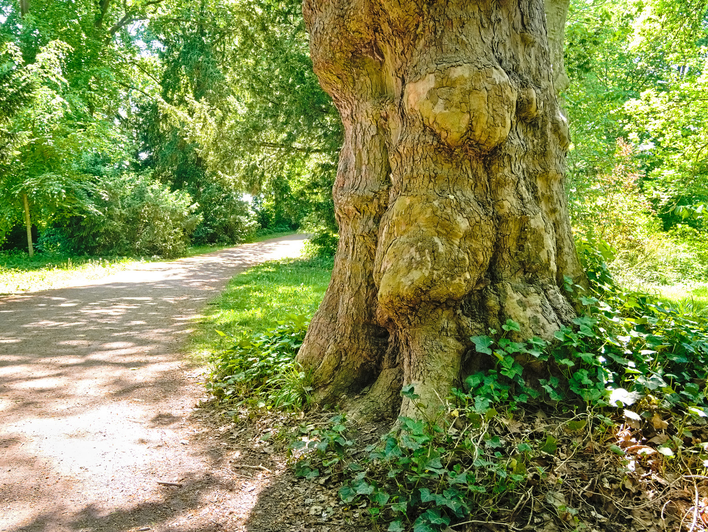 Schlosspark Kirchheimbolanden