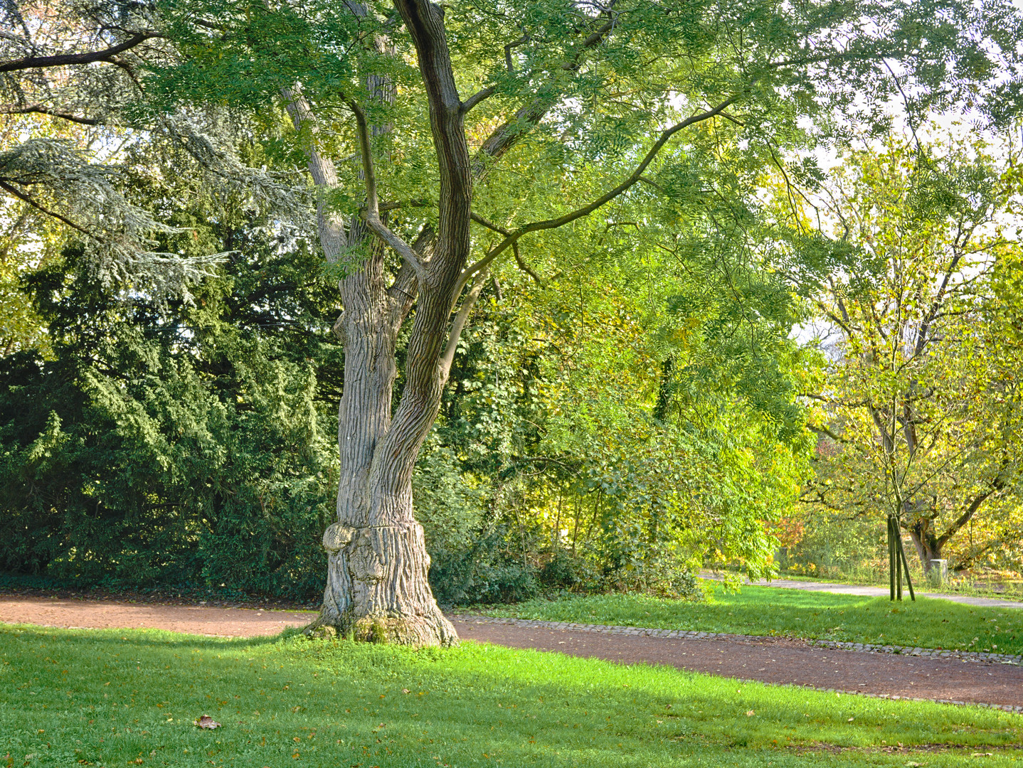 Schlosspark Kirchheimbolanden im Herbst