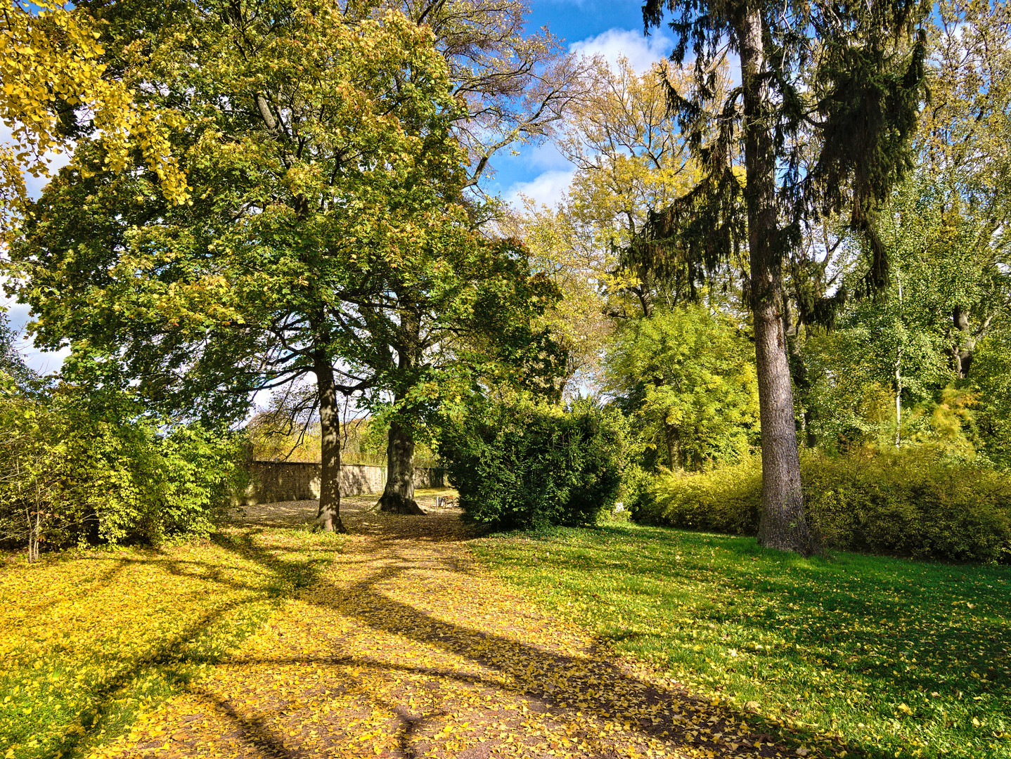 Schlosspark Kirchheimbolanden im Herbst