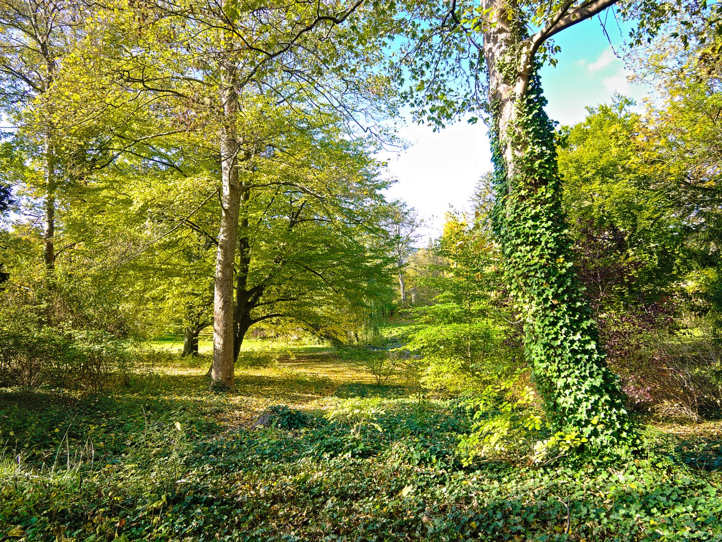 Schlosspark Kirchheimbolanden im Herbst