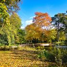 Schlosspark Kirchheimbolanden im Herbst