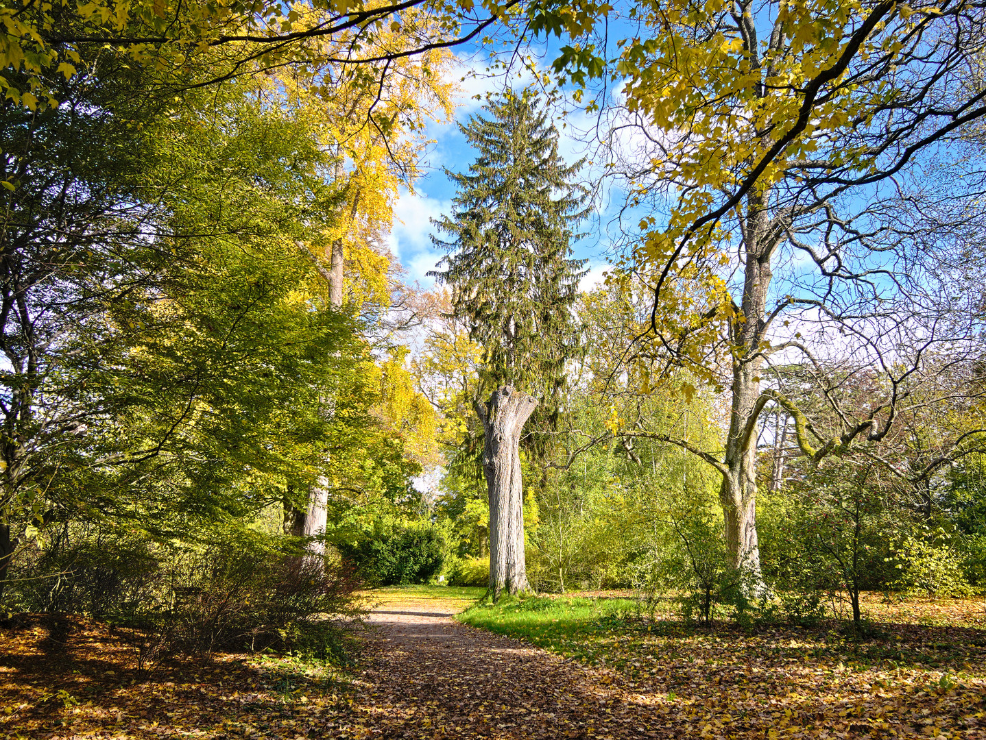 Schlosspark Kirchheimbolanden im Herbst